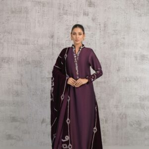 Maroon Minimal Embroidered Straight Kurta Set